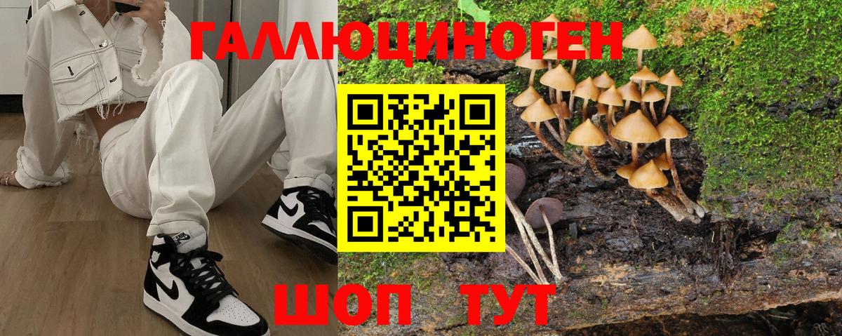 Галлюциногенные грибы Psilocybine cubensis  Галлюциногенные грибы мухоморы  Серпухов  Вход с VPN 