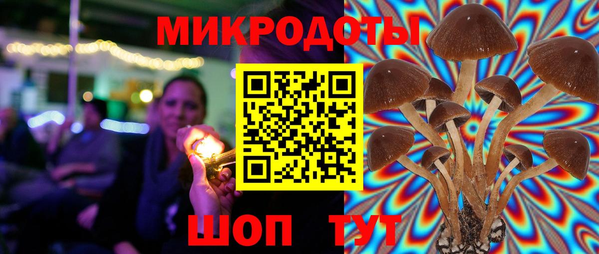 Псилоцибиновые грибы GOLDEN TEACHER Серпухов